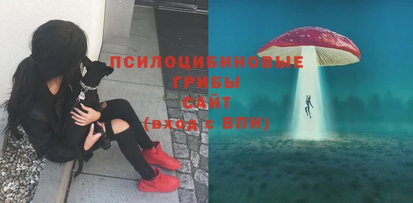 кокаин премиум Горнозаводск