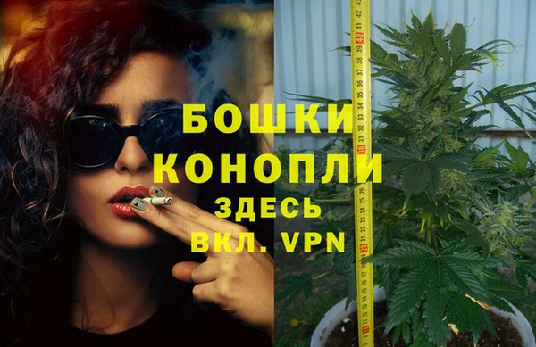 винт Горно-Алтайск