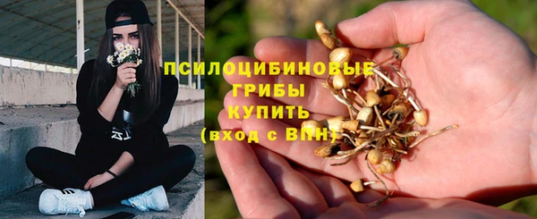 винт Горно-Алтайск