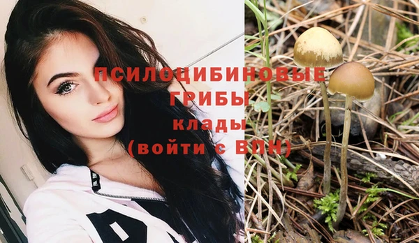 мдпв Сясьстрой