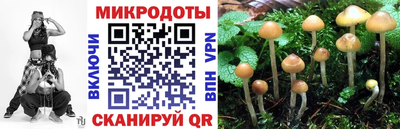 наркота  Инза  Галлюциногенные грибы мухоморы 